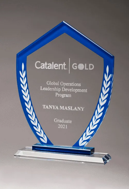 Glass shield Award 2